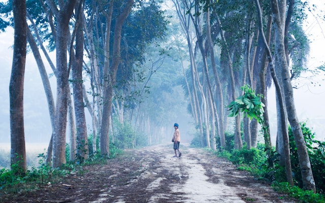 শীতের চবি